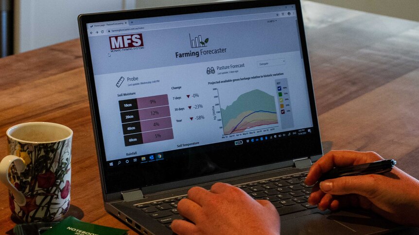 Farmer using computer to look at feed outlook
