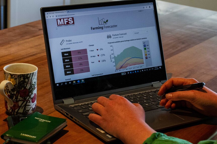 Farmer using computer to look at feed outlook