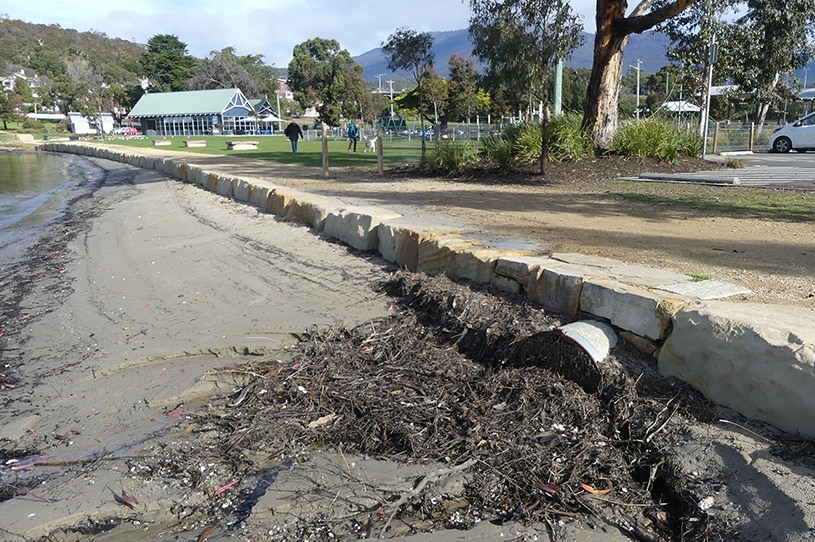 Stormwater drain at Cornelian Bay, Hobart.