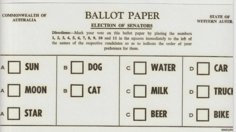 A piece of paper designed like a voting ballot paper