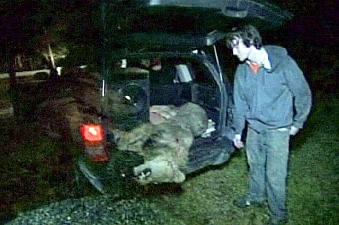 A man stands next to shot lioness