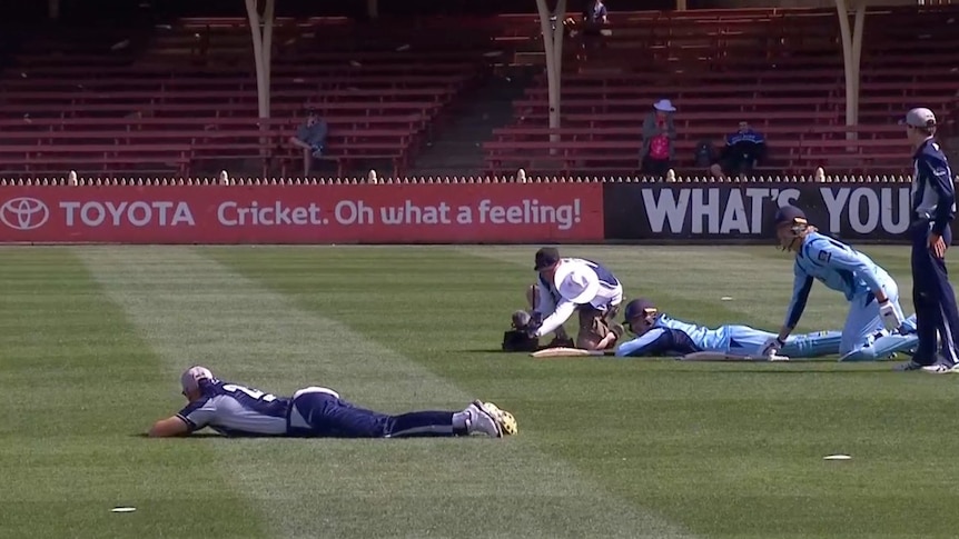NSW and Victoria cricketers dive for cover as bees invade North Sydney Oval on September 23, 2018.