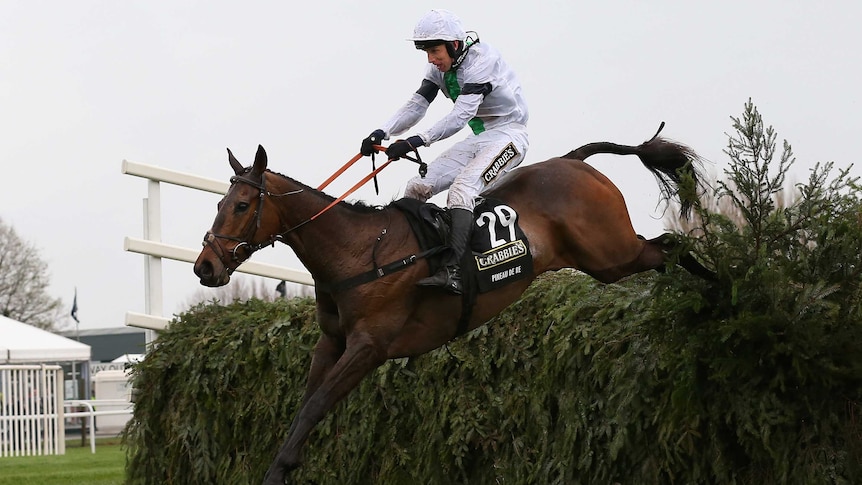 Pineau De Re wins Grand National