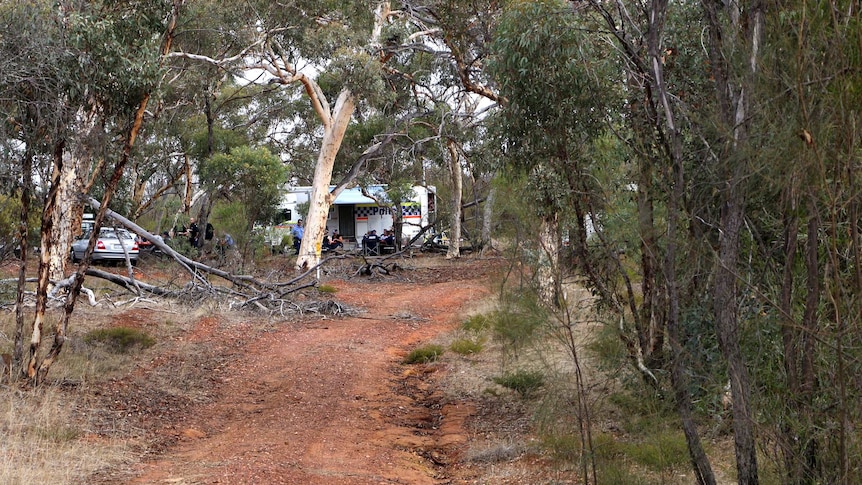 Police are searching an area of bushland north of perth, near New Norcia for a dismembered body.