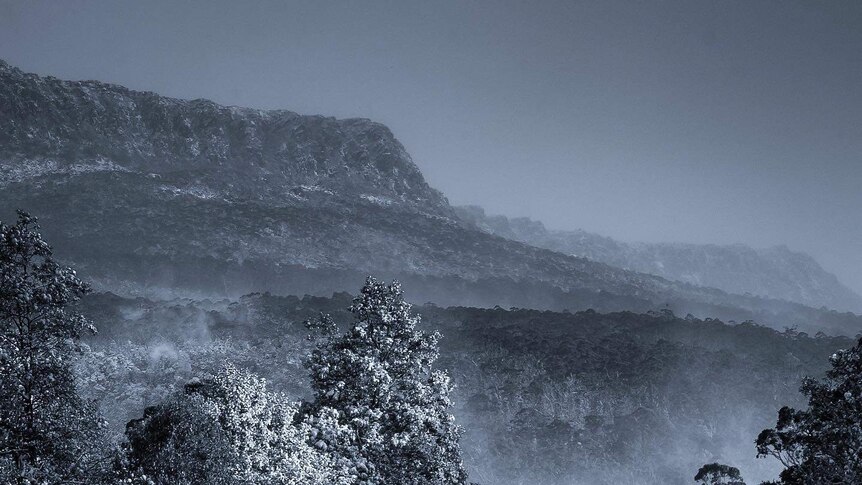 Snowy conditions in the Tasmanian highlands, photo by Cam Blake.