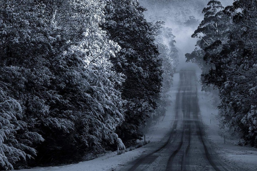 Snowy conditions in the Tasmanian highlands, photo by Cam Blake.