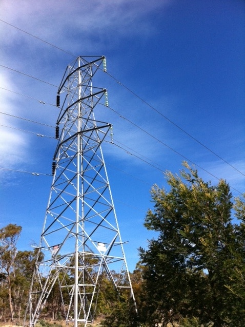 Power lines running through a paddock