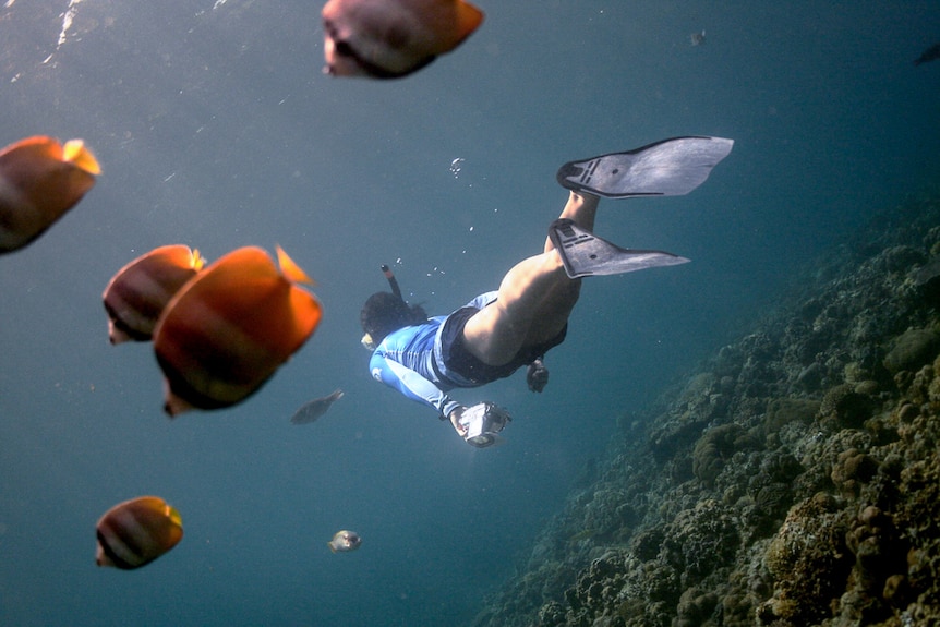 Even an allergic reaction to salt water has not stopped Ember Corpuz volunteering for ocean-based activities.