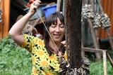 A brunette Aboriginal woman smiles as she pulls a piece of string, holding a collection of oyster shells, taut against a pole