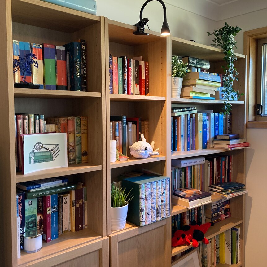 A bookshelf features books, a crocheted dolphin, plants, among other things.