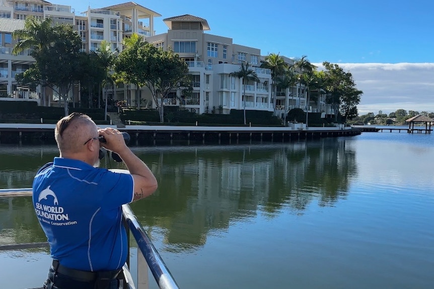 A man in a Sea World-branded polo shirt stands on the edge of a river in a city, scanning the water with binoculars.