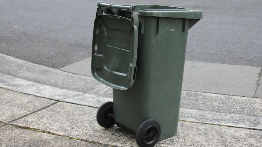 A wheelie bin on a street