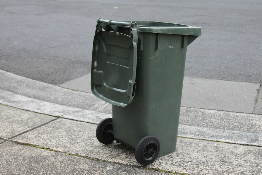 A wheelie bin on a street