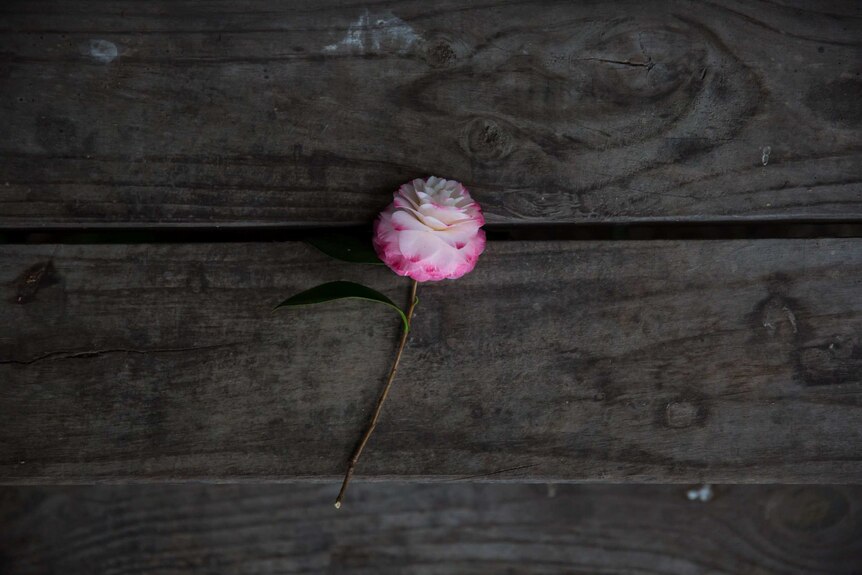 A pink and white flower on deceased resident Trevor Morse's step.