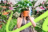 A woman stands in a garden store holding a pot plant in front of her face to depict making gardening mistakes