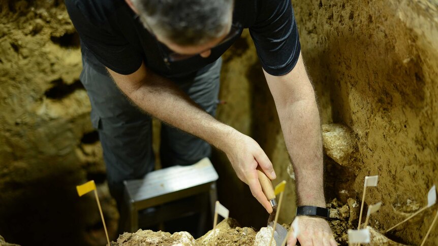 Darren Curnoe excavating