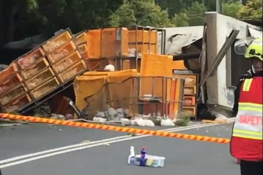 The scene where a truck carrying 6,000 chickens crashed