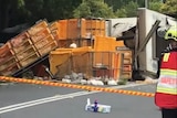 The scene where a truck carrying 6,000 chickens crashed