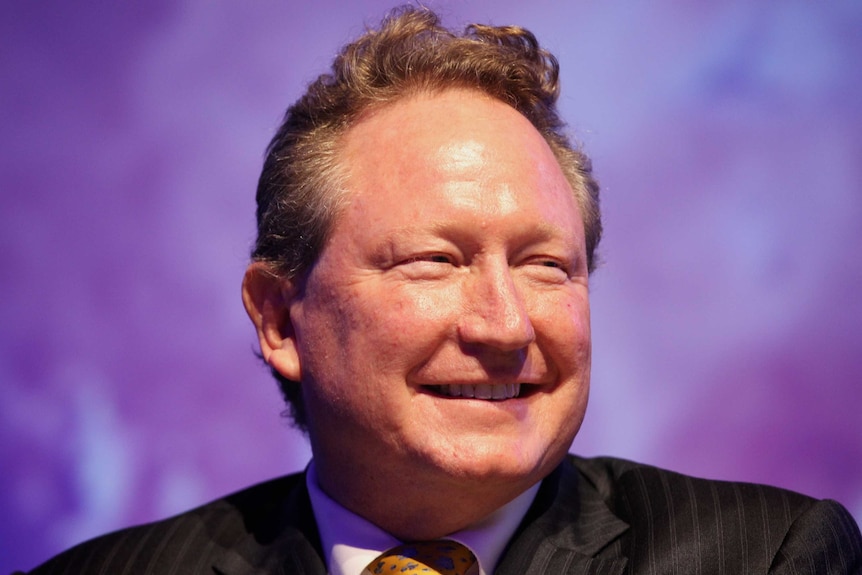 Headshot of Andrew 'Twiggy' Forrest smiling.