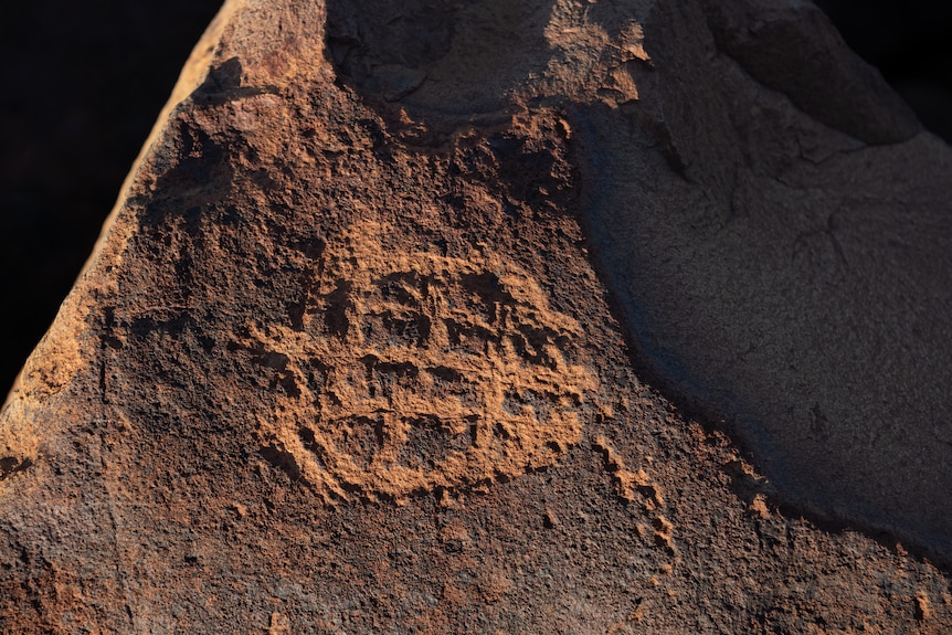 Rock art in Murujuga, depicting a turtle.