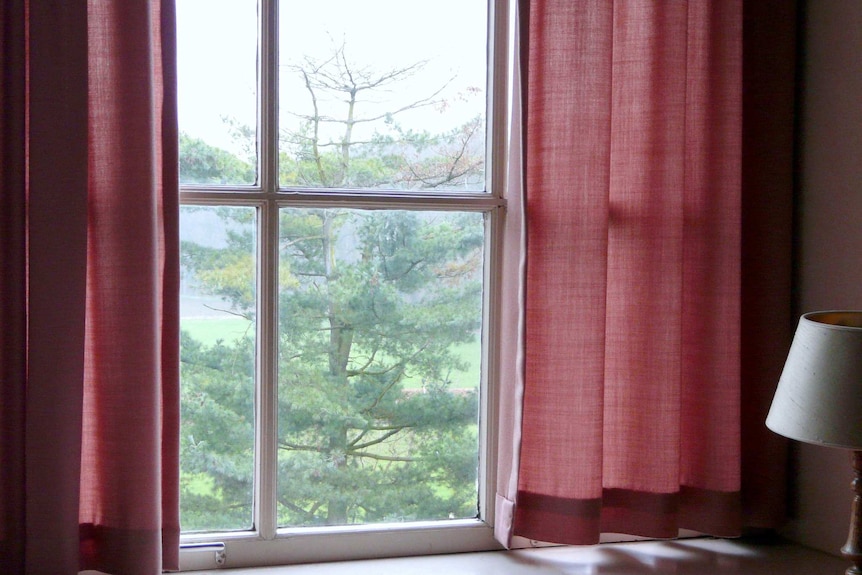 A window with a tree behind it and red curtains in front.