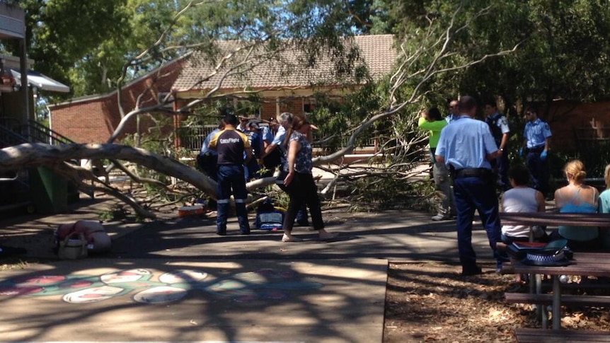 Three people hurt as tree falls at school