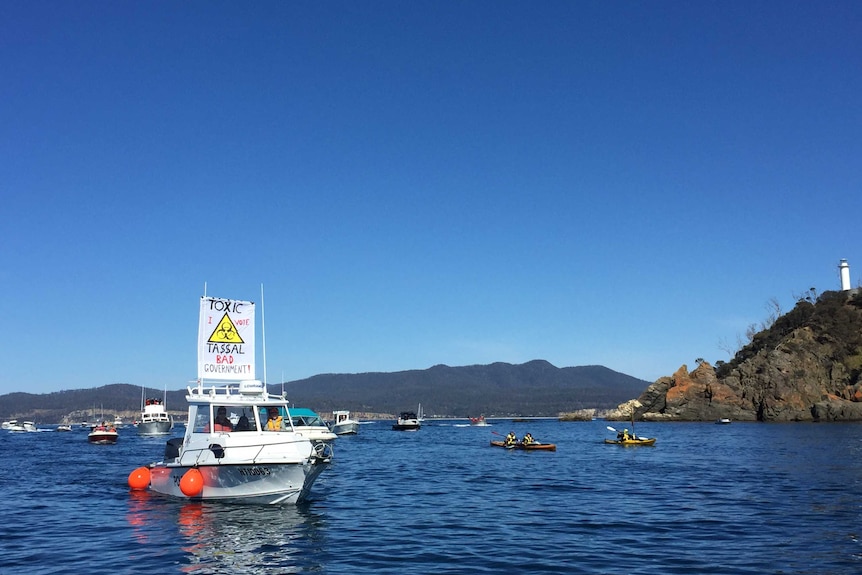 Boats near Triabunna at an anti-fish farm protest.