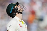 Australia batsman Steve Smith looks up to the sky with a pained look on his face after getting out in an Ashes Test.