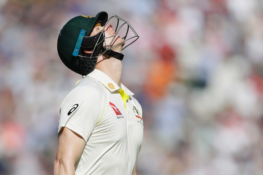 Australia batsman Steve Smith looks up to the sky with a pained look on his face after getting out in an Ashes Test.