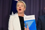 A politician holds a report up as she speaks from behind a lectern at a media conference