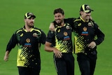 Marcus Stoinis celebrates