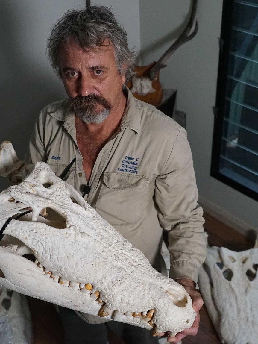 man holding large crocodile skull