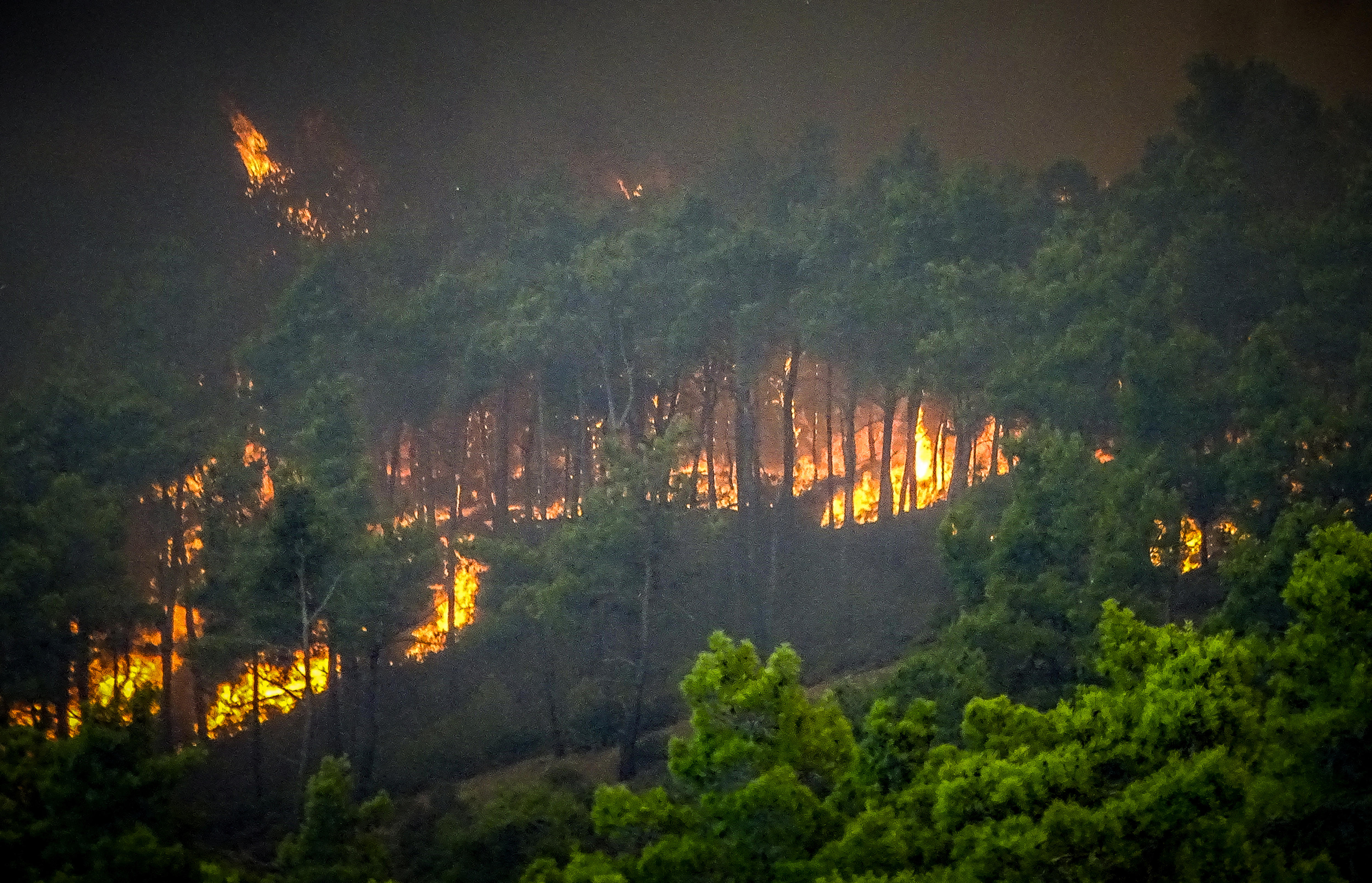 Wildfire burns among tress on the island of Rhodes