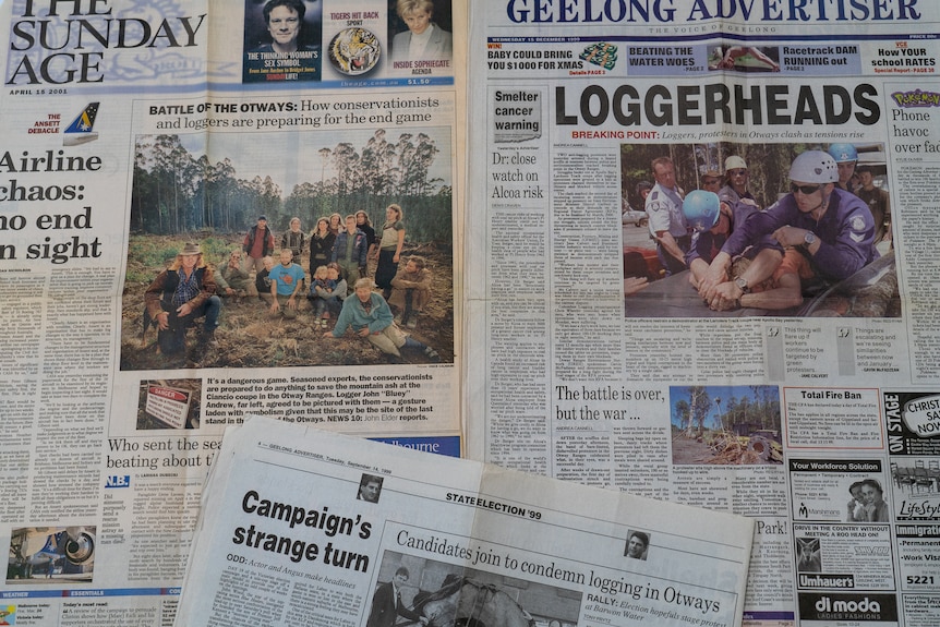 Newspapers spread on a table showing coverage of Otways logging debate