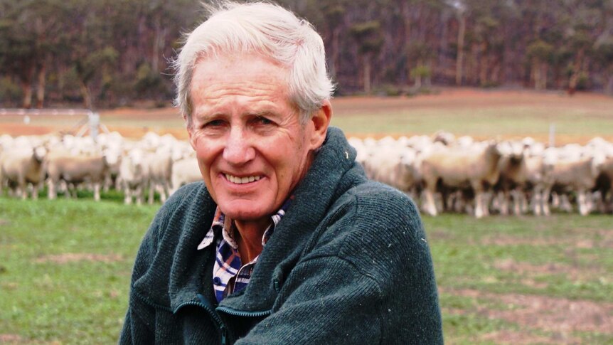 A man stands in a paddock in front of a flock of sheep.