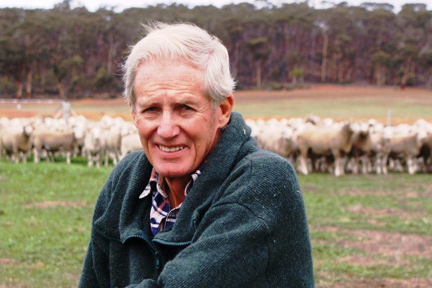 A man stands in a paddock in front of a flock of sheep.