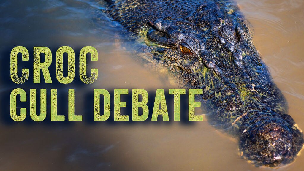 Debate continues over the culling of crocodiles in the Northern
