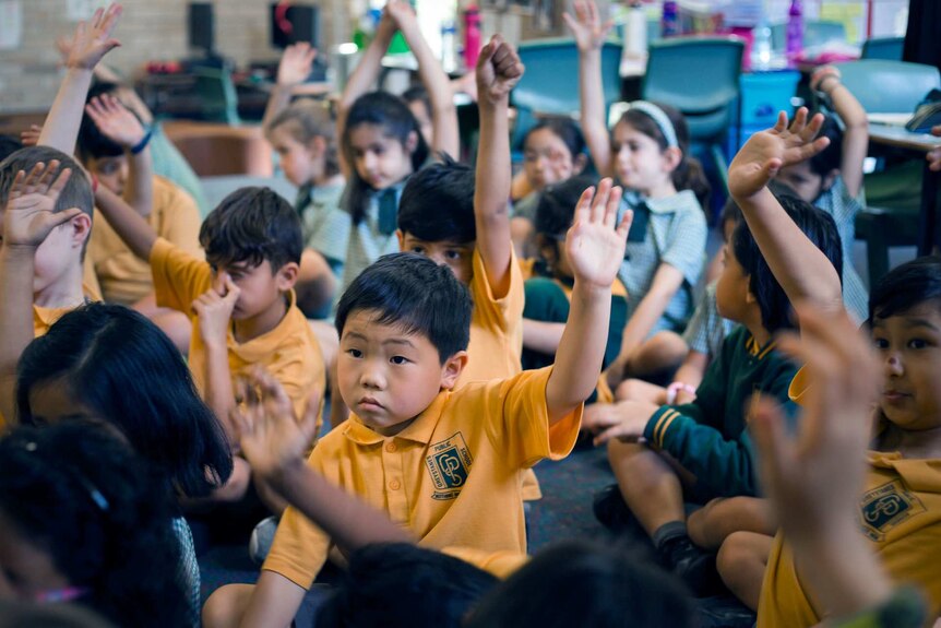 Photo of students at Greystanes Public school raising their hands to answer a question.