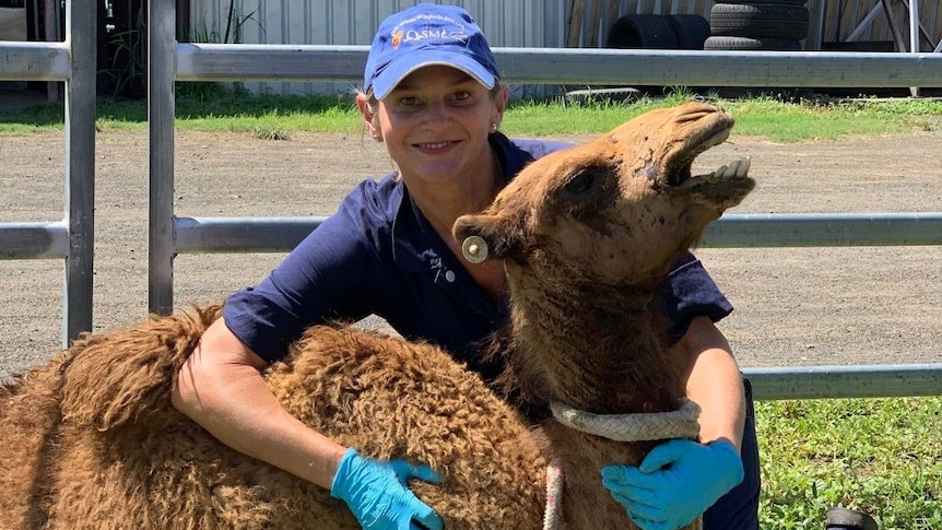 Dr Margie Bale hugs a camel.