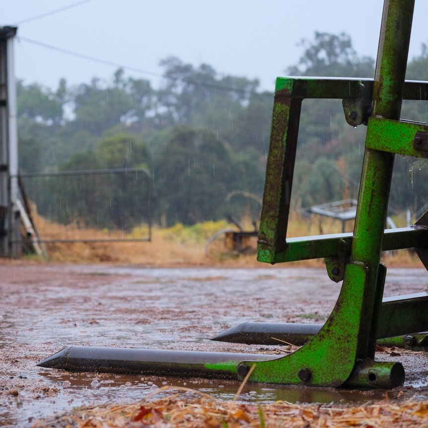 Rain falls in a farm yard during Thursday's storms.