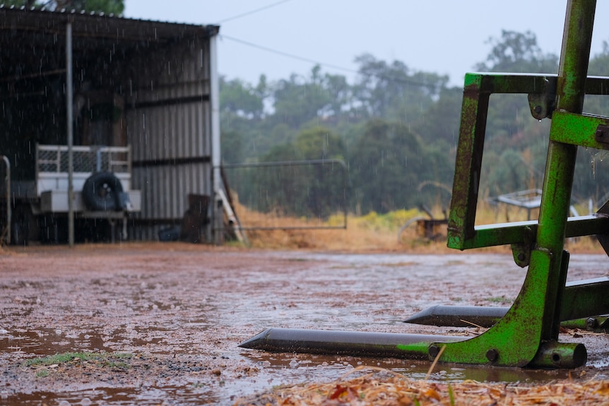 Rain falls in a farm yard during Thursday's storms.
