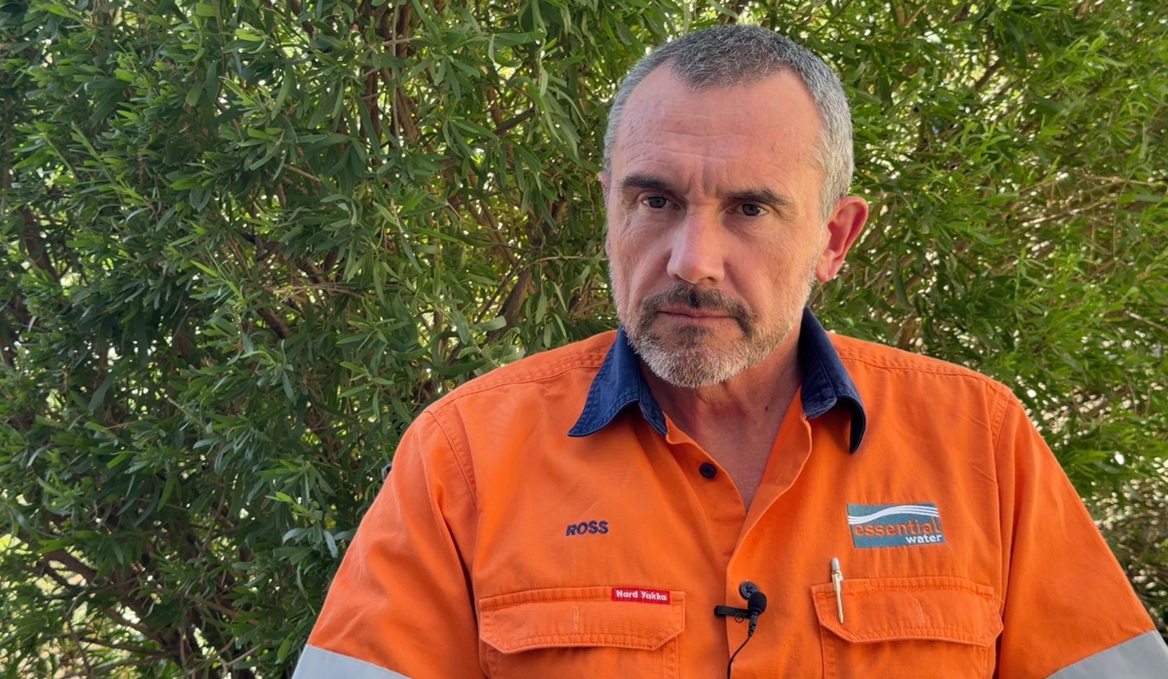 Ross Berry usa uma camiseta laranja da Essential Water enquanto está sentado em frente a uma cerca viva, olhando para fora da câmera. 