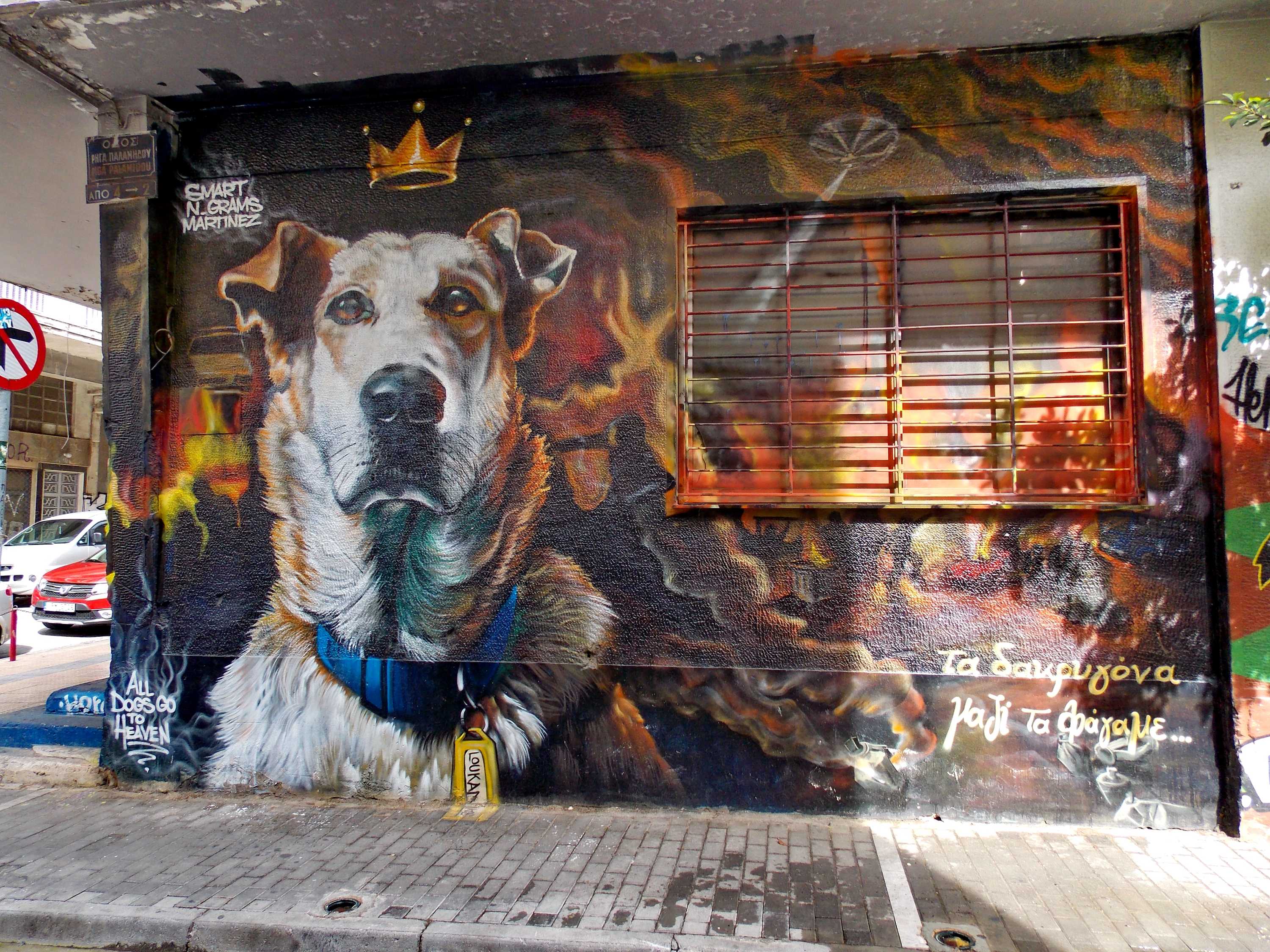 In search of Greece's protest dog, Loukanikos - ABC Radio National