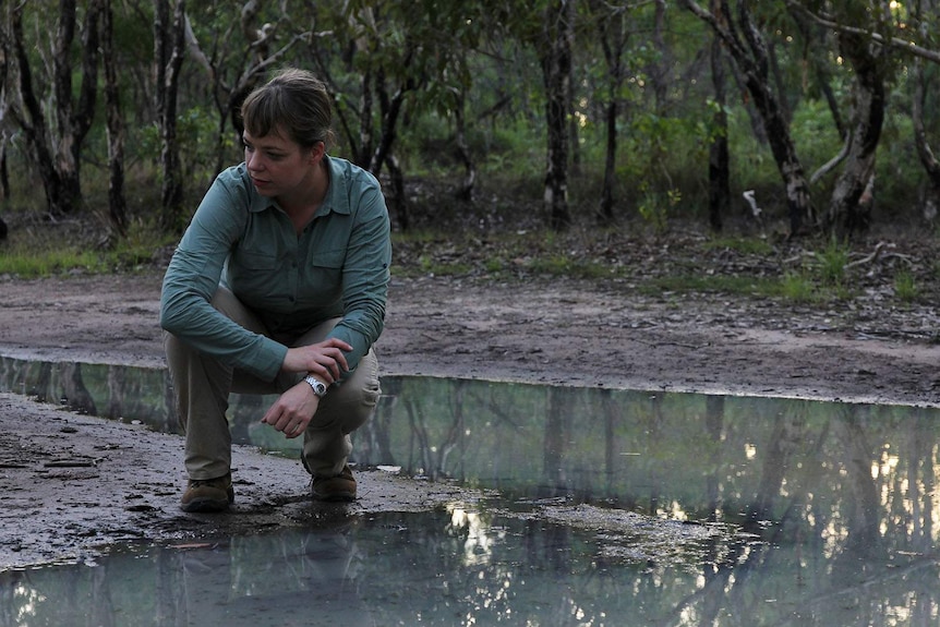 Frog researcher Jodi Rowley crouches on a mud flat peering into a puddle of water.