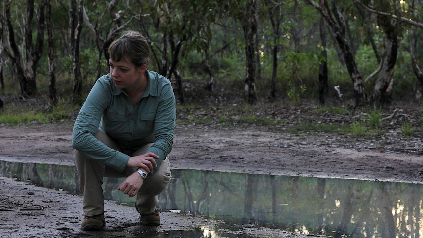 Frog researcher Jodi Rowley crouches on a mud flat peering into a puddle of water.