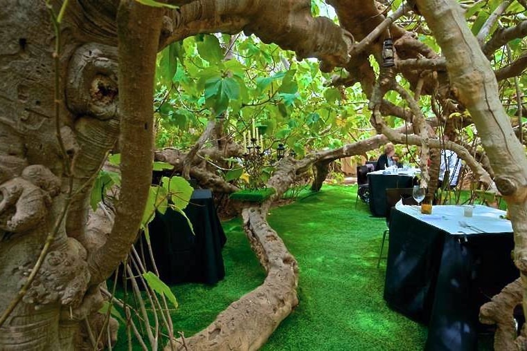 The Enchanted Fig Tree venue on Kangaroo Island.