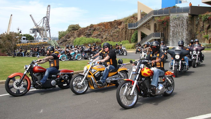 A large group of bikies riding their motorcycles.