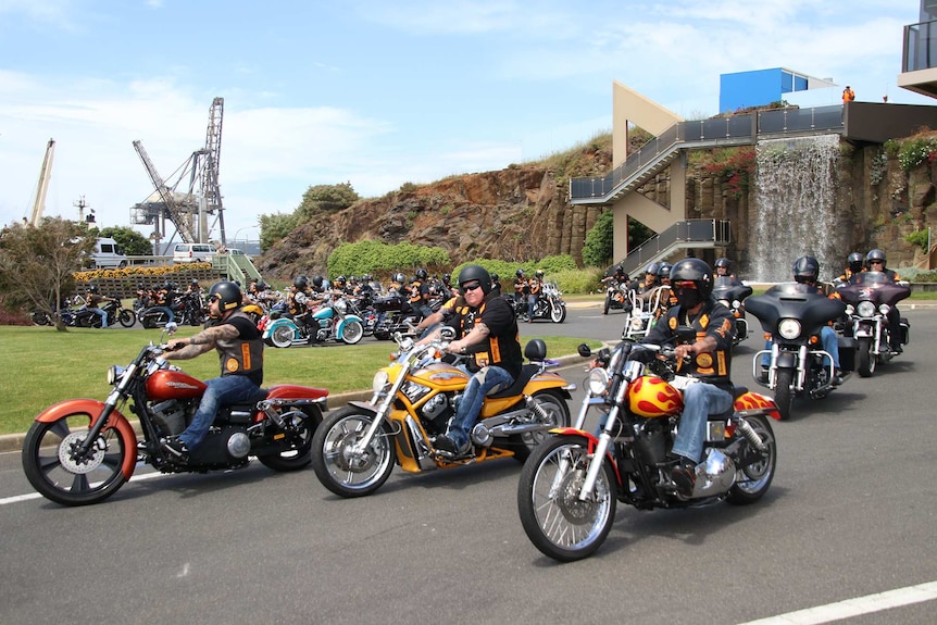 A large group of bikies riding their motorcycles.