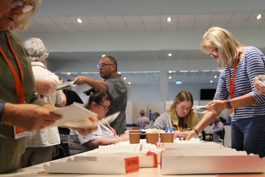 Counting votes for the Tasmanian council elections