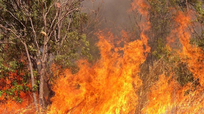 A fire roars through grass near Darwin